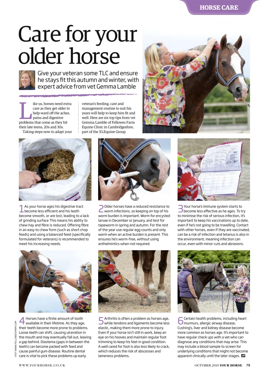 Your Horse Preview Pages