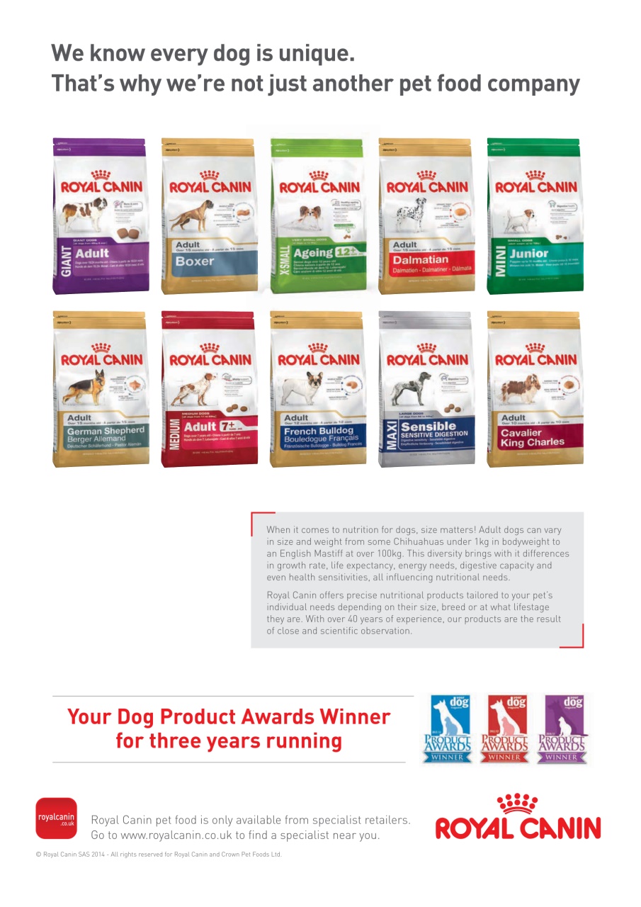 Your Dog Preview Pages