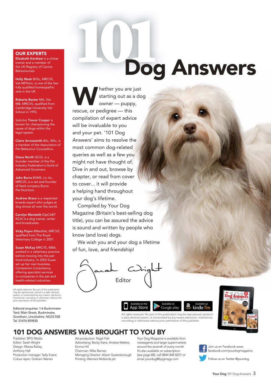 Your Dog Preview Pages
