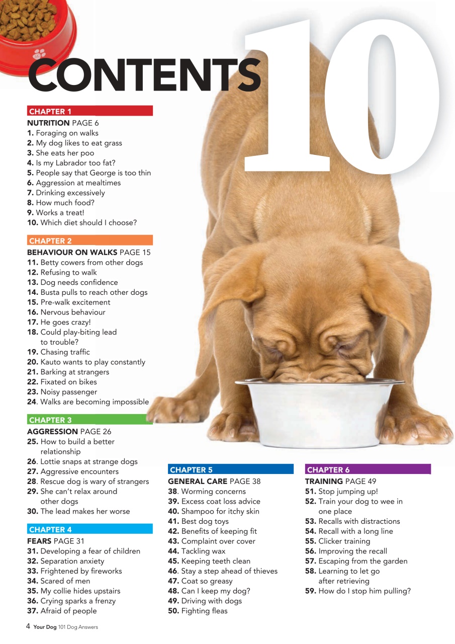 Your Dog Preview Pages