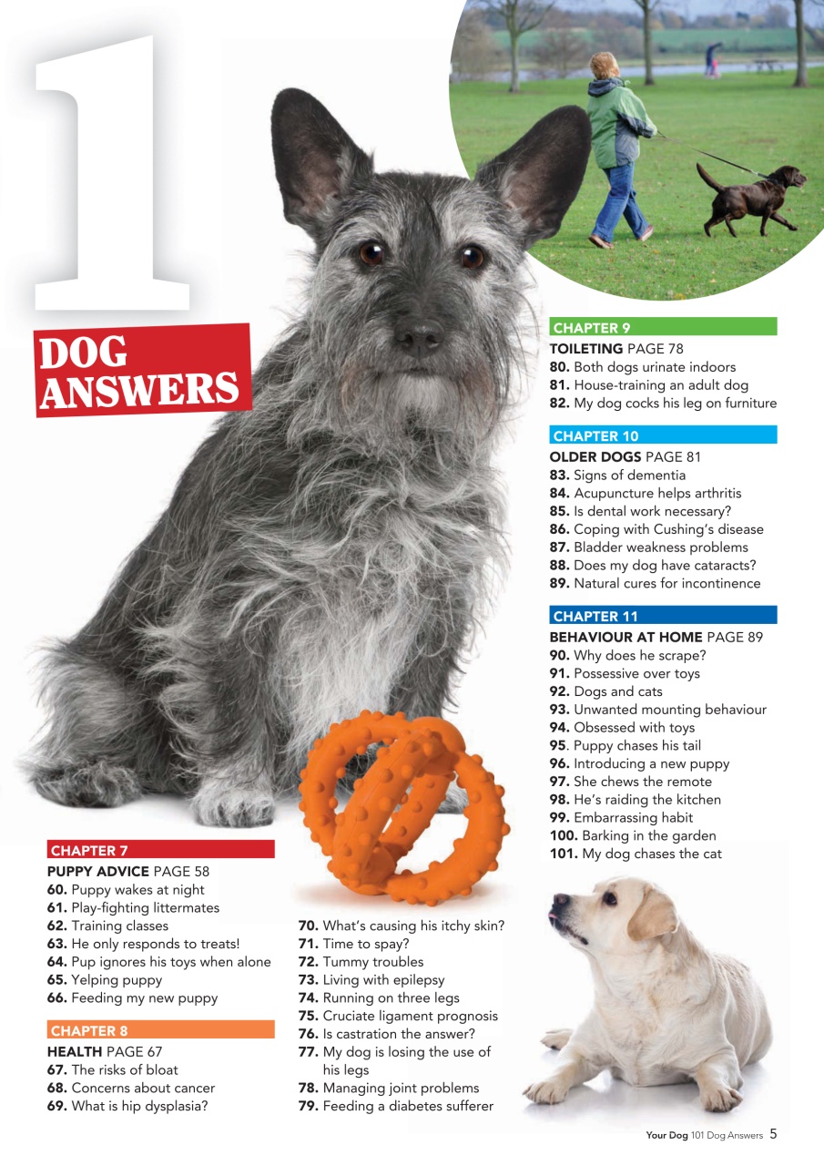 Your Dog Preview Pages