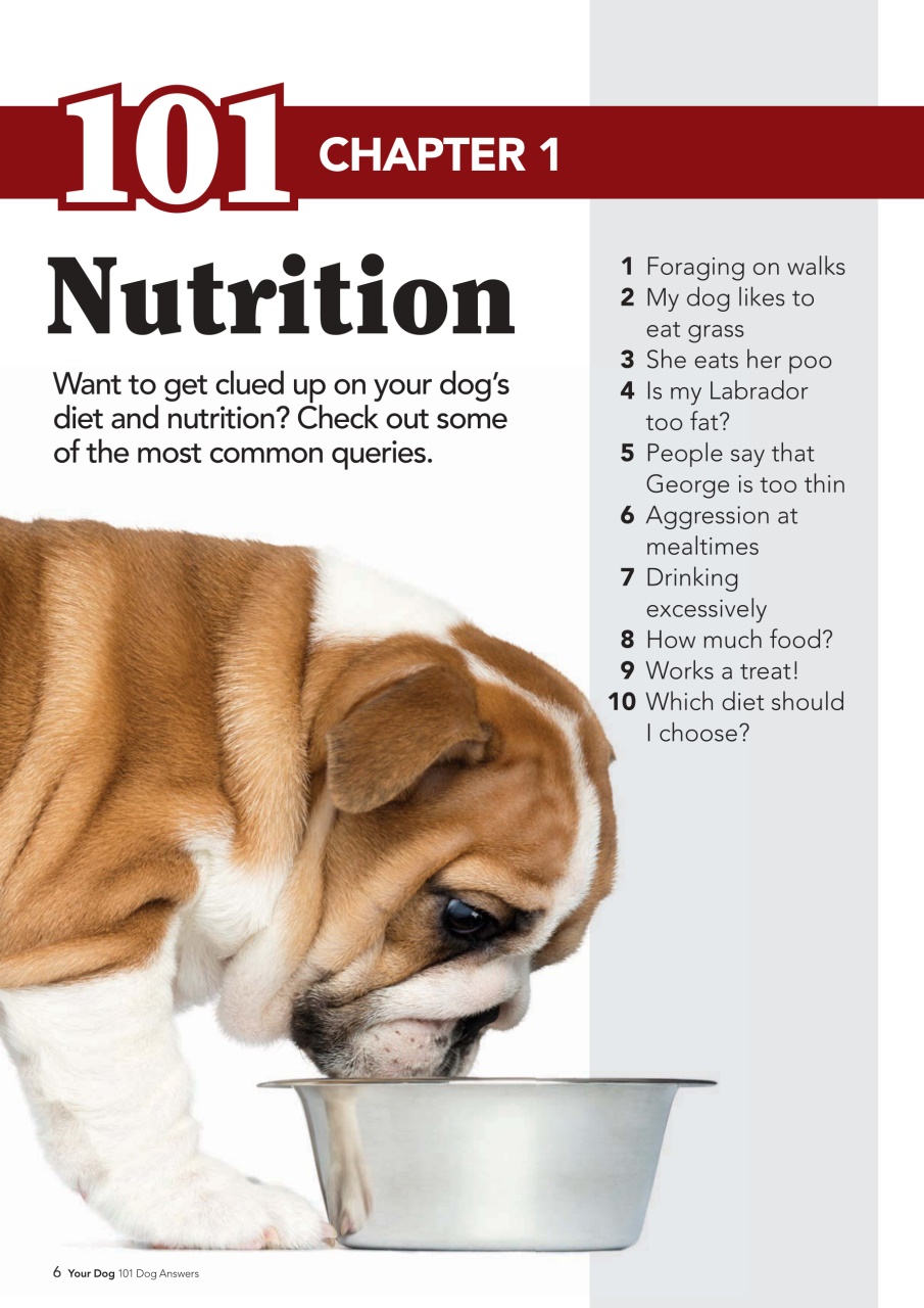 Your Dog Preview Pages