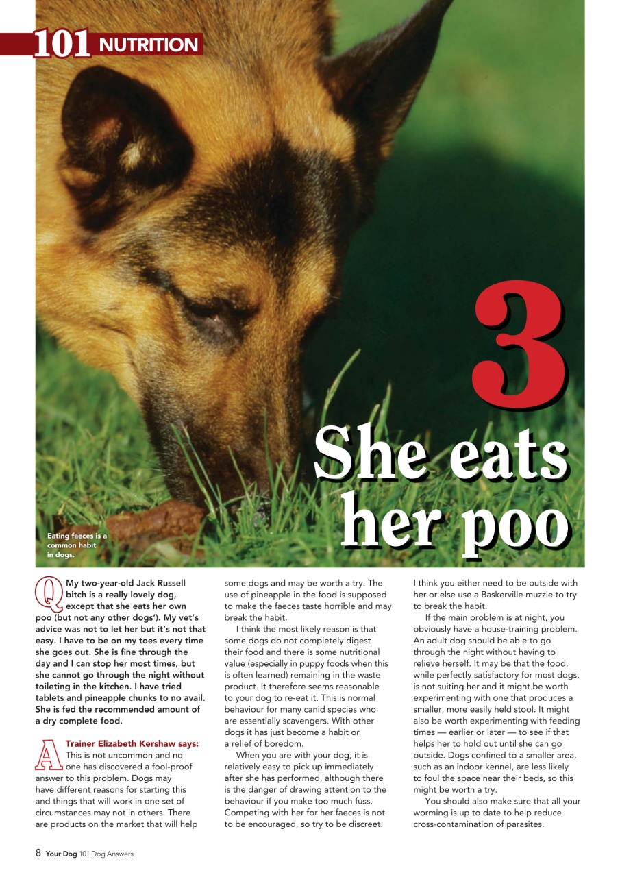 Your Dog Preview Pages