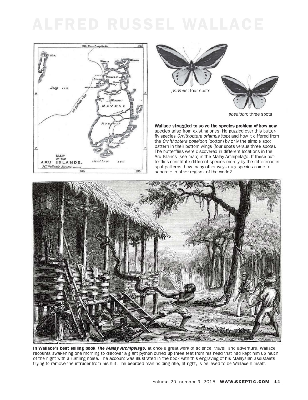 Skeptic Preview Pages