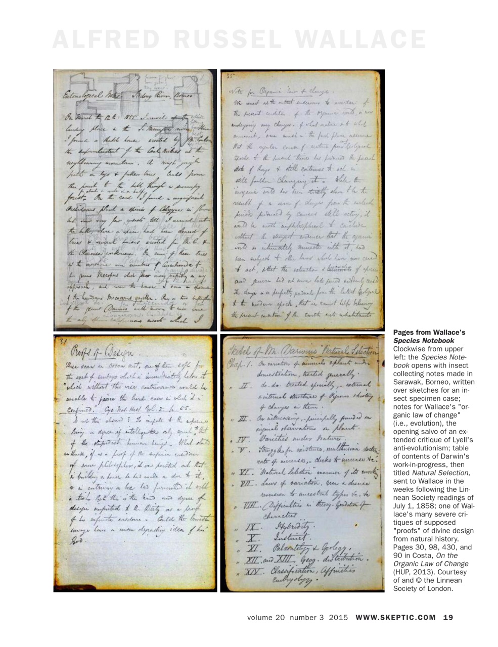 Skeptic Preview Pages