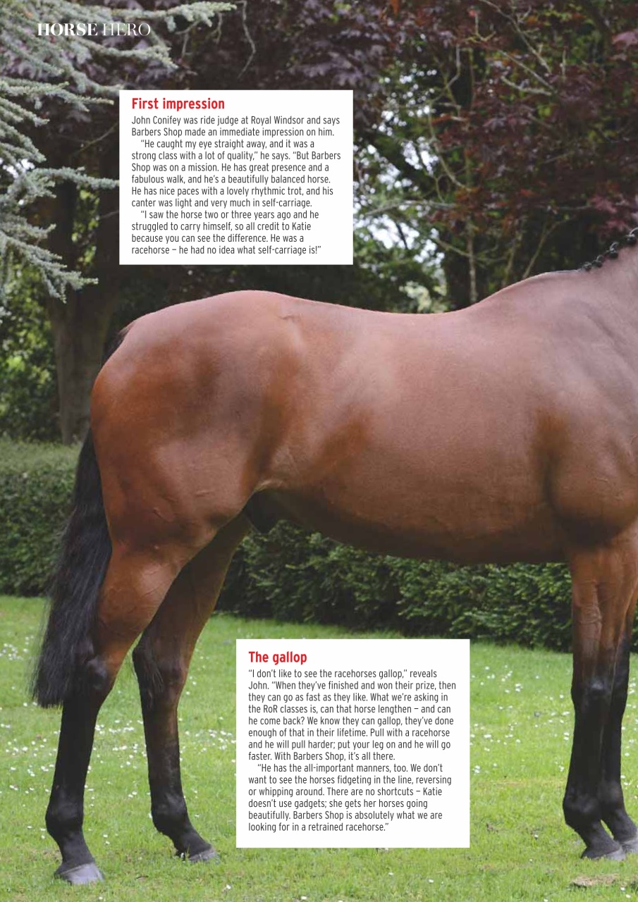 Horse & Hound Preview Pages