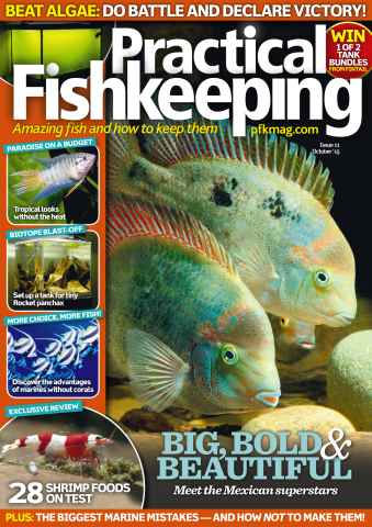 Practical Fishkeeping issue October 2015