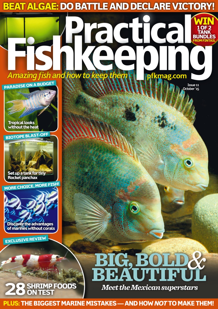 Practical Fishkeeping Preview Pages