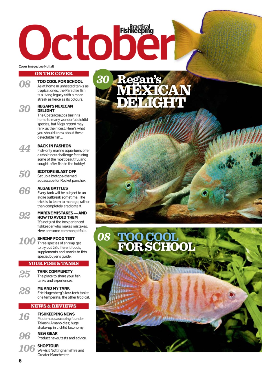 Practical Fishkeeping Preview Pages