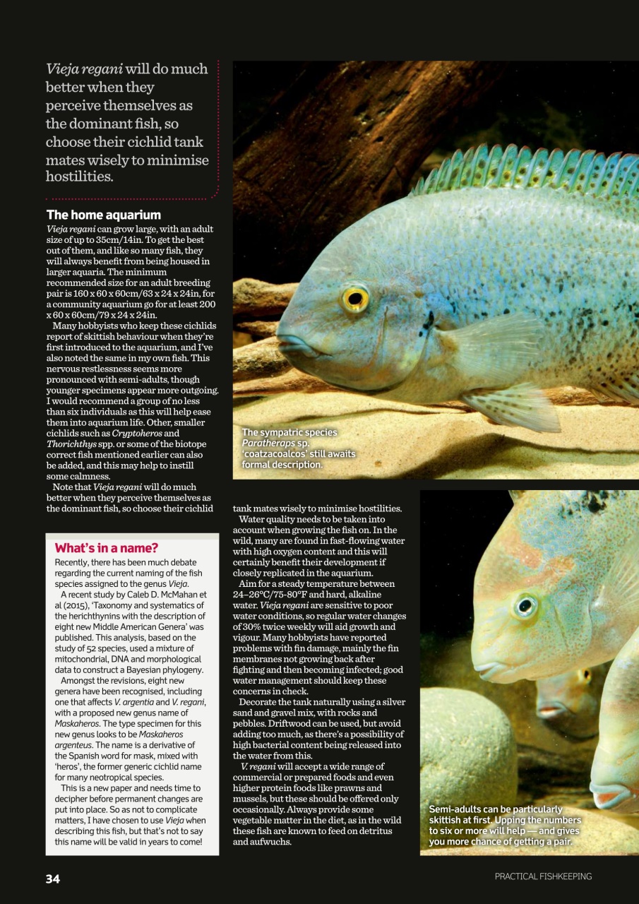 Practical Fishkeeping Preview Pages