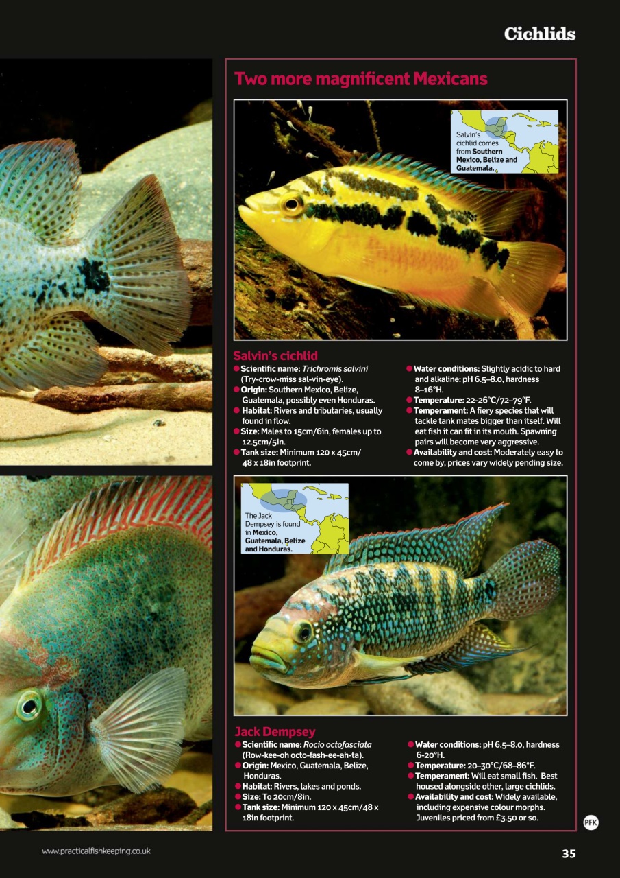 Practical Fishkeeping Preview Pages