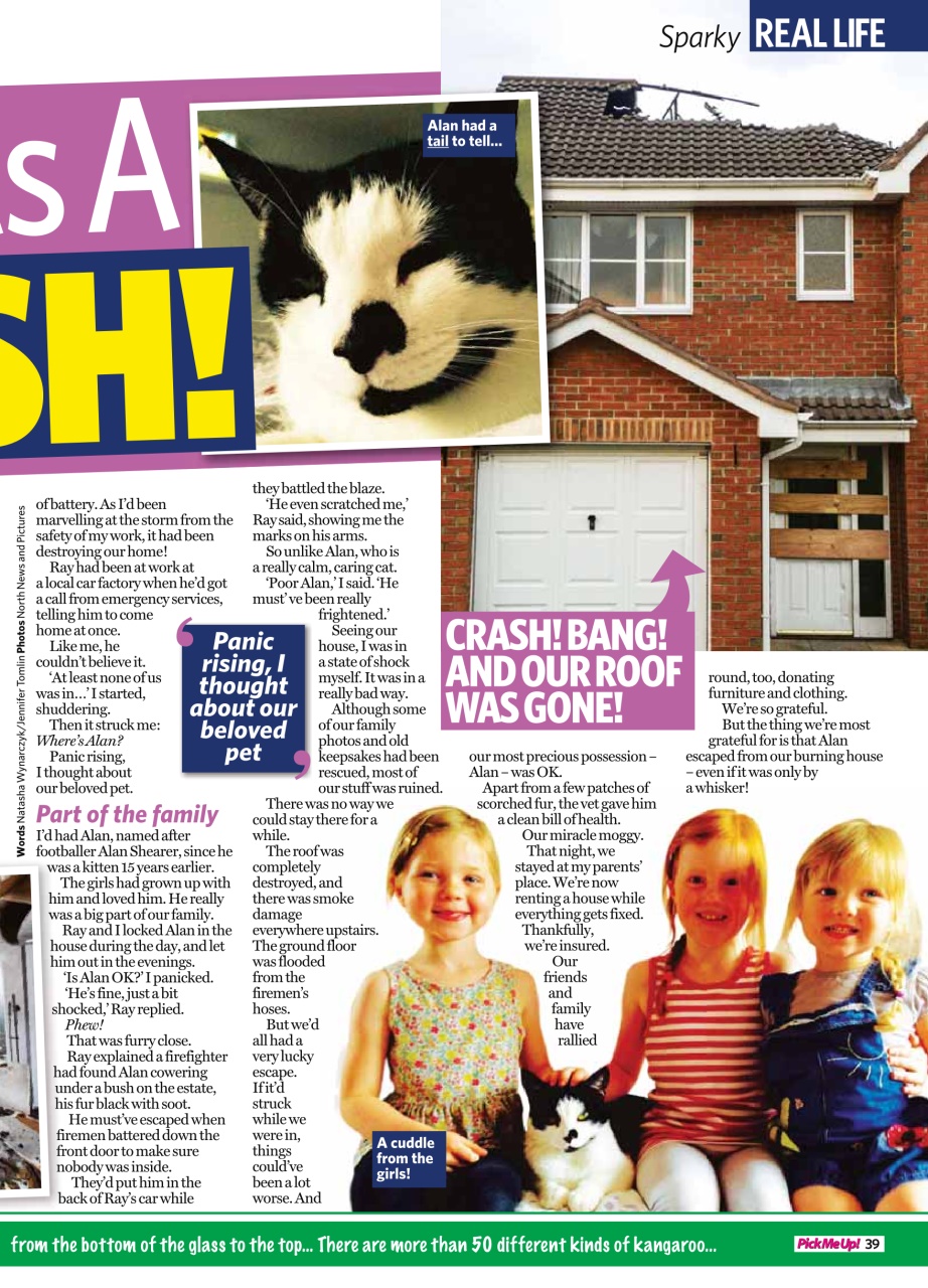 Pick Me Up Preview Pages