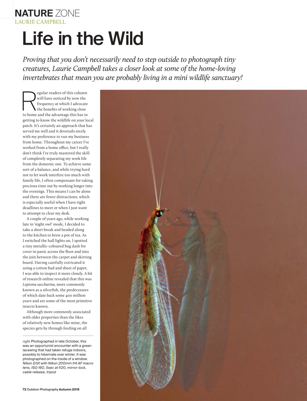 Outdoor Photography Preview Pages