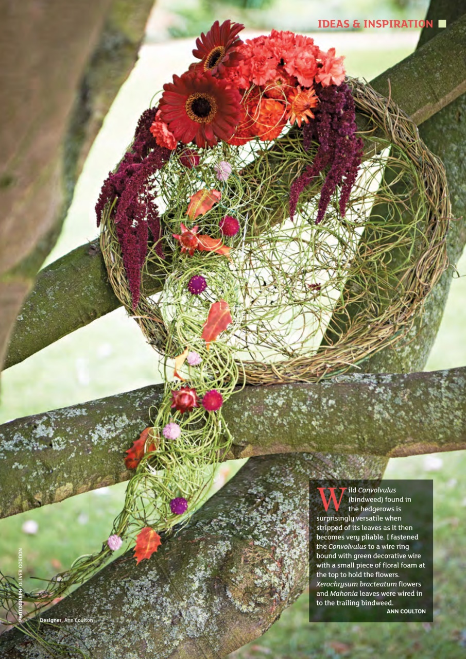 The Flower Arranger Preview Pages