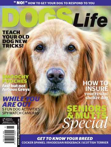 Dogs Life issue Sept/Oct Issue#133