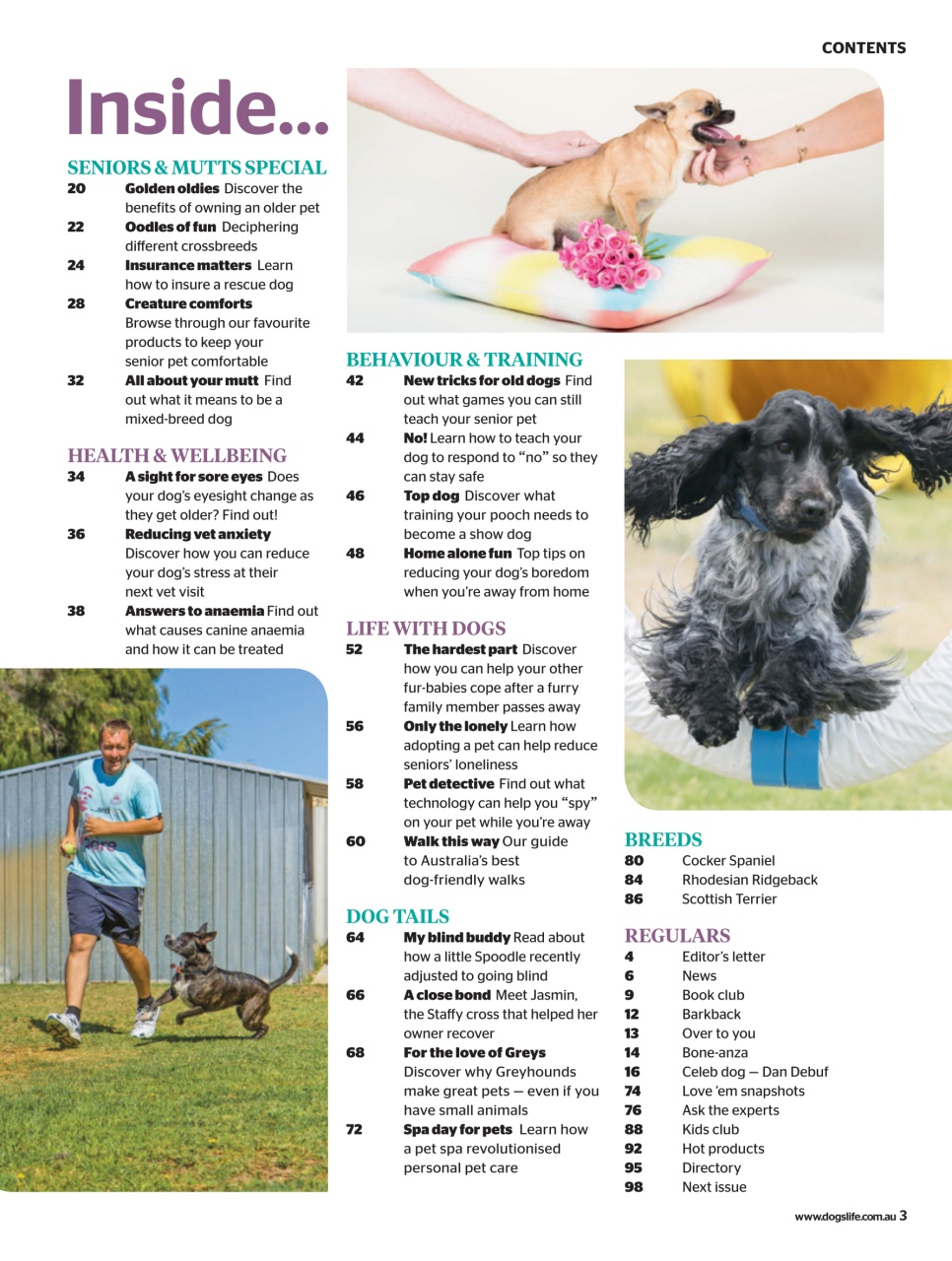 Dogs Life Preview Pages