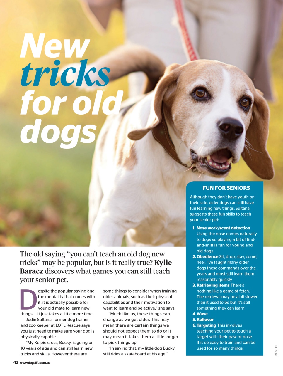 Dogs Life Preview Pages