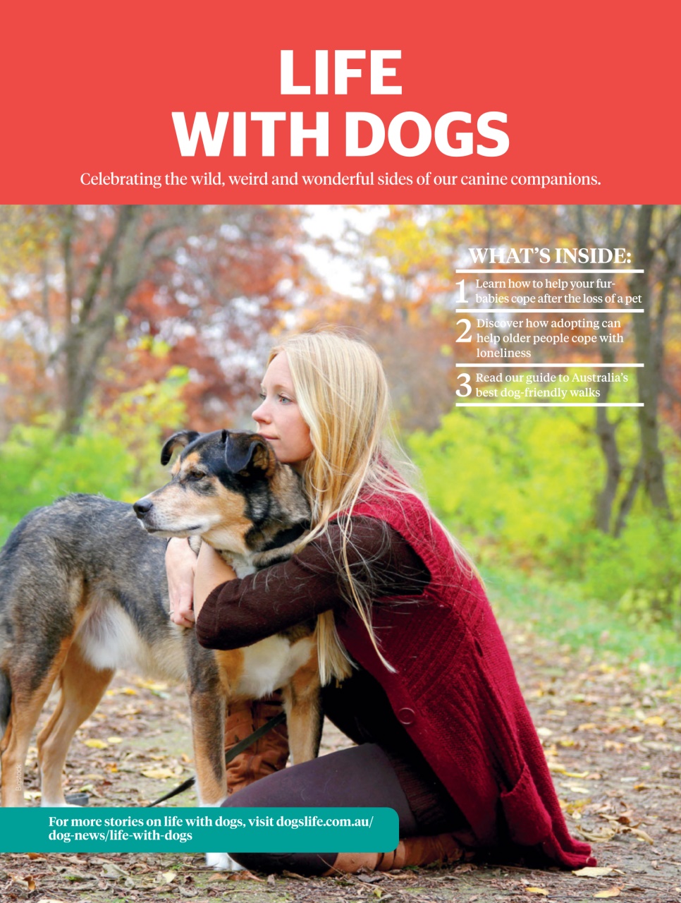 Dogs Life Preview Pages