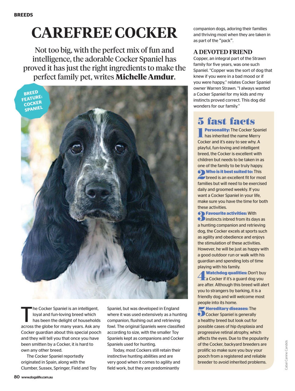 Dogs Life Preview Pages