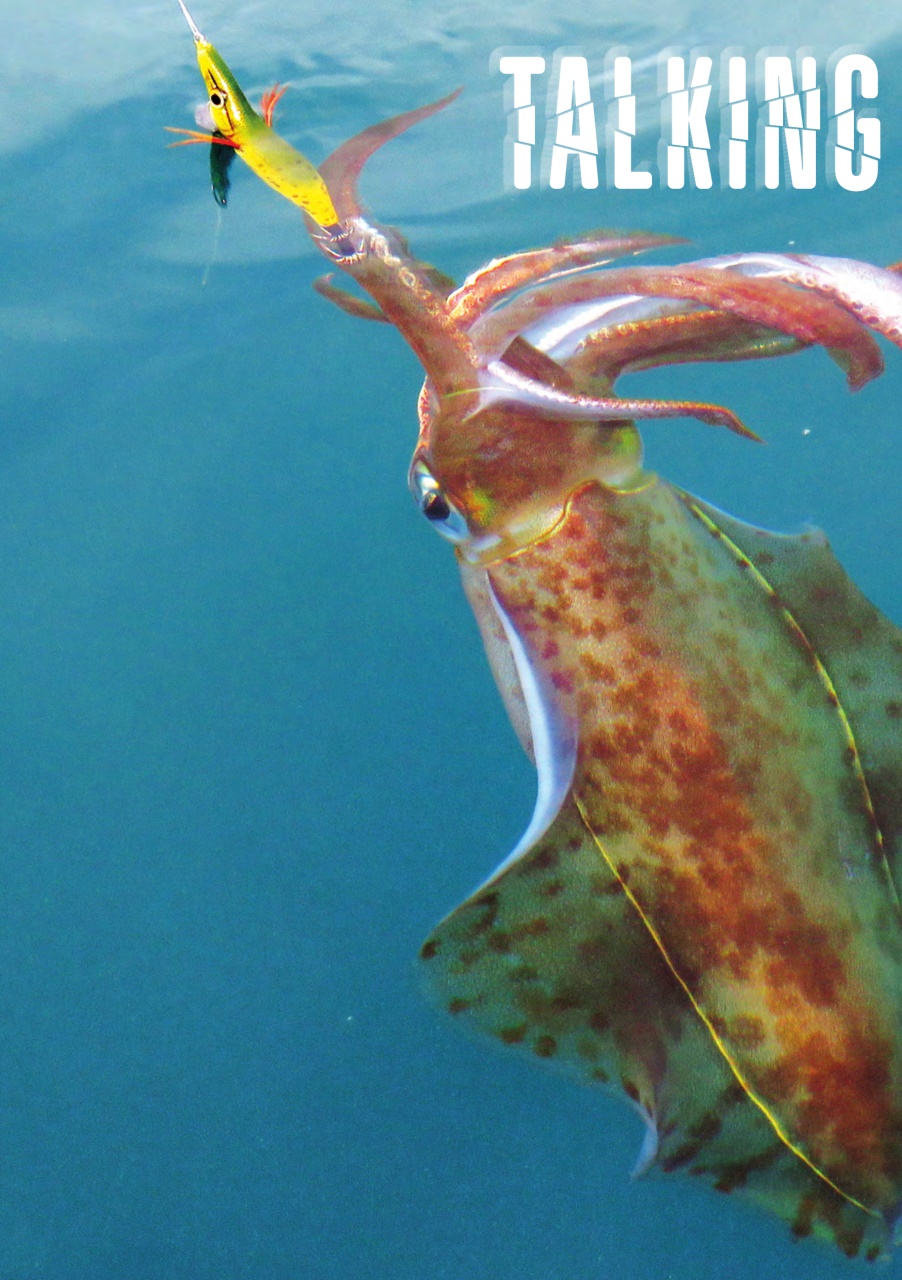 Yak Fisher Preview Pages