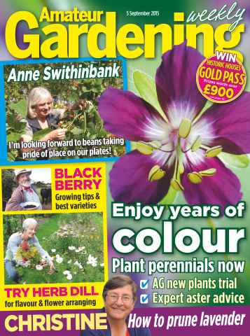 Amateur Gardening issue 5th September 2015