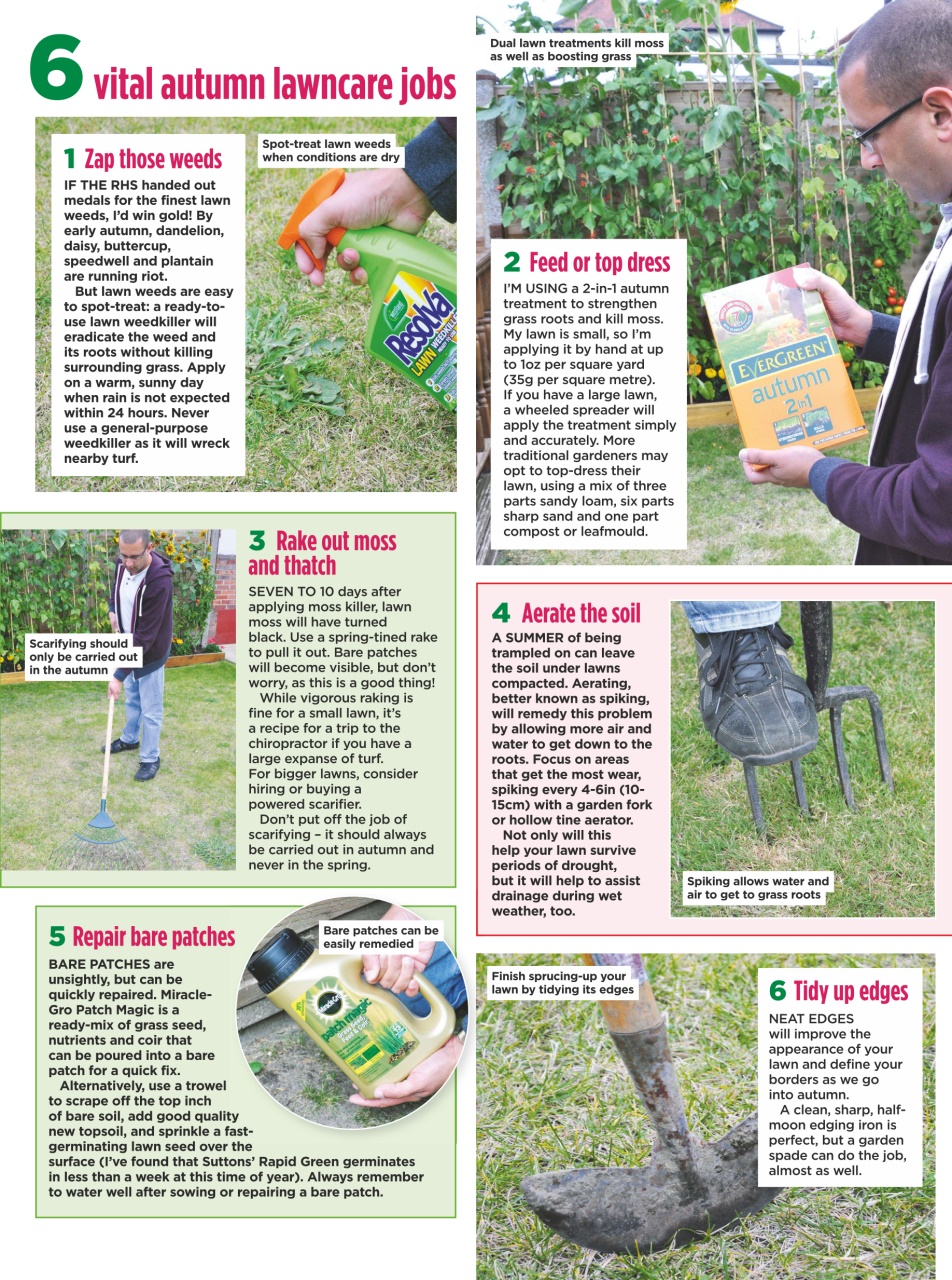 Amateur Gardening Preview Pages