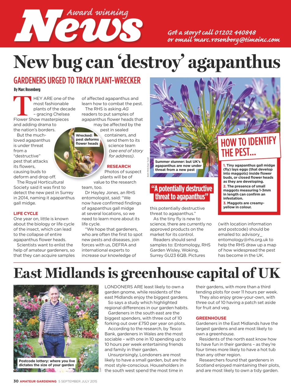 Amateur Gardening Preview Pages