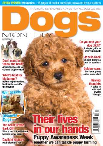 Dogs Monthly issue October 2015