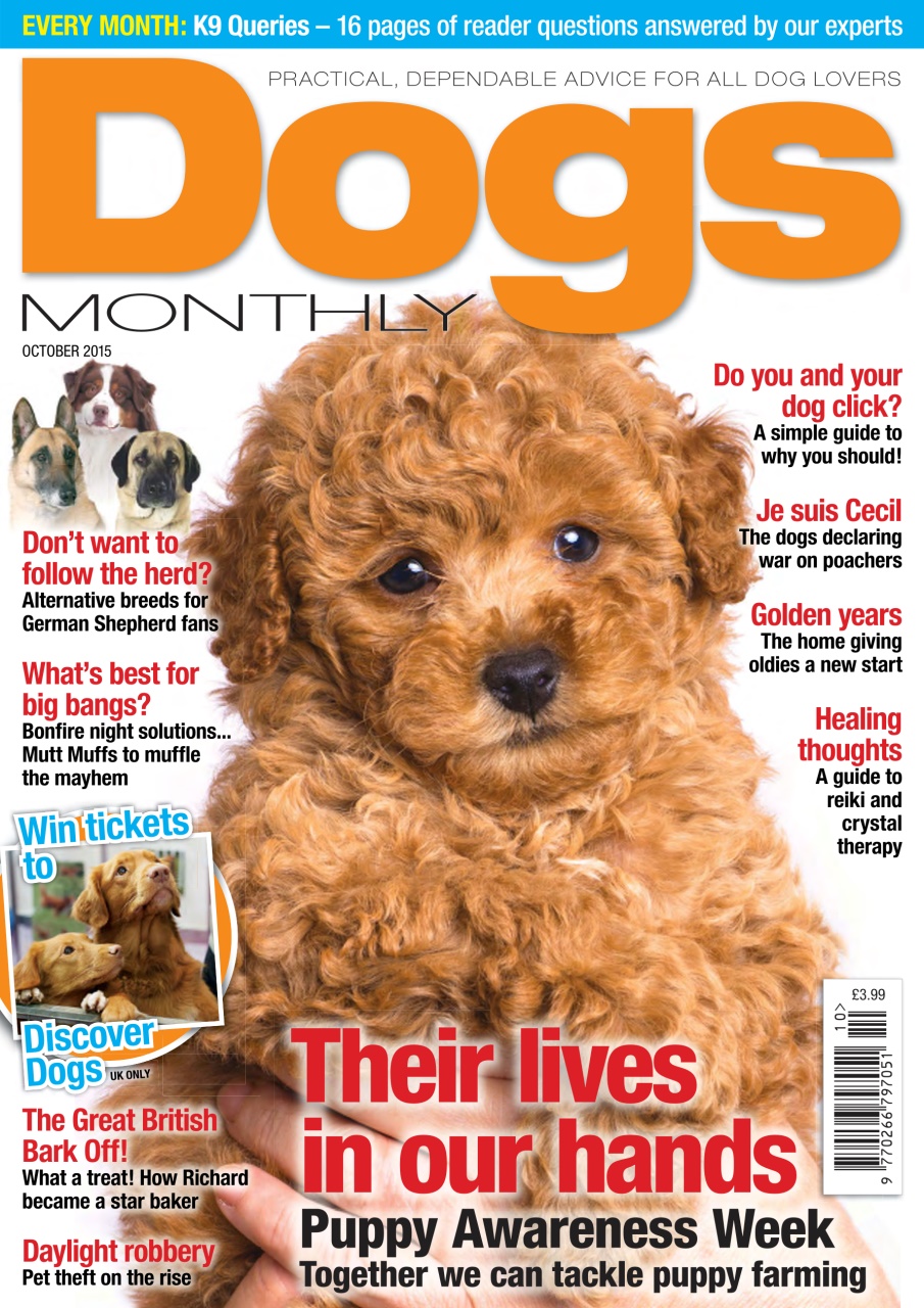Dogs Monthly Preview Pages