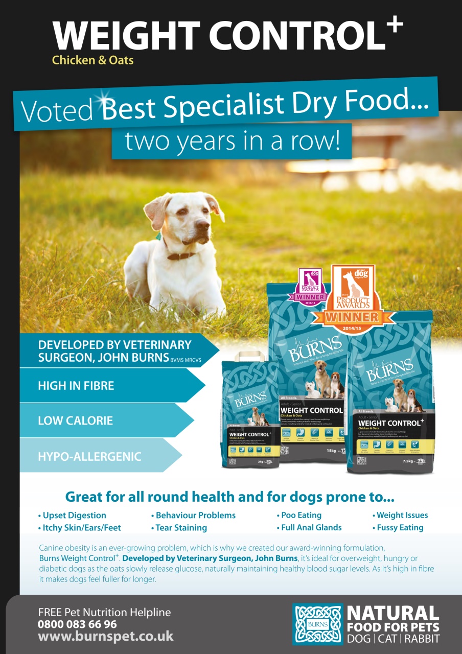 Dogs Monthly Preview Pages