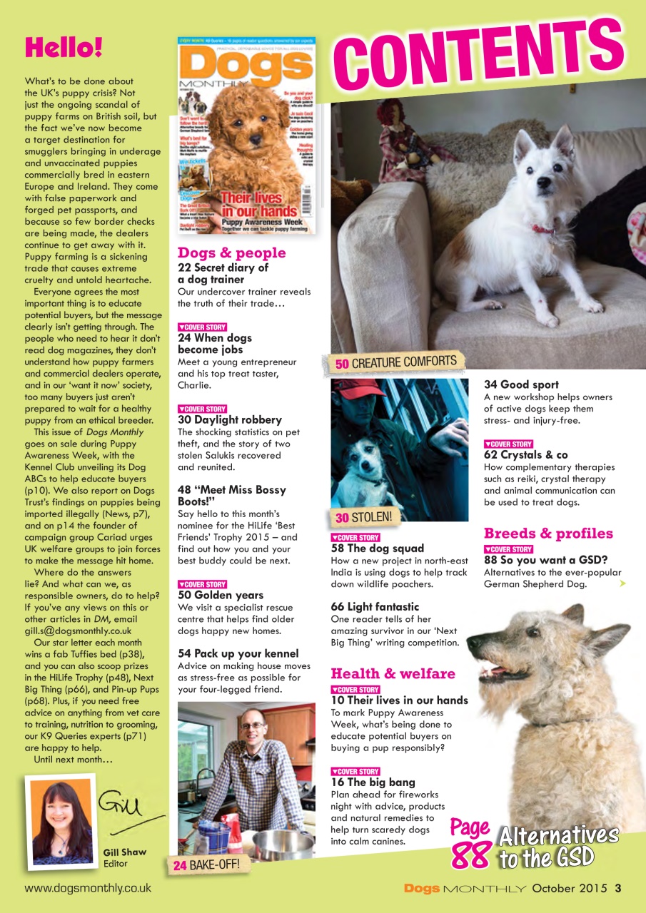 Dogs Monthly Preview Pages