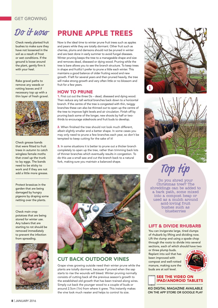 Kitchen Garden Magazine Preview Pages
