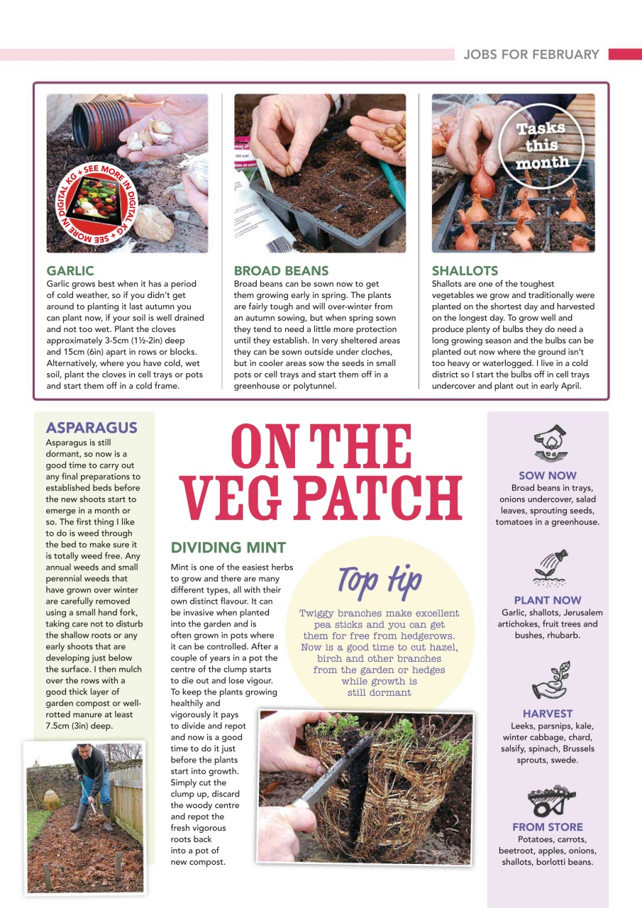 Kitchen Garden Magazine Preview Pages