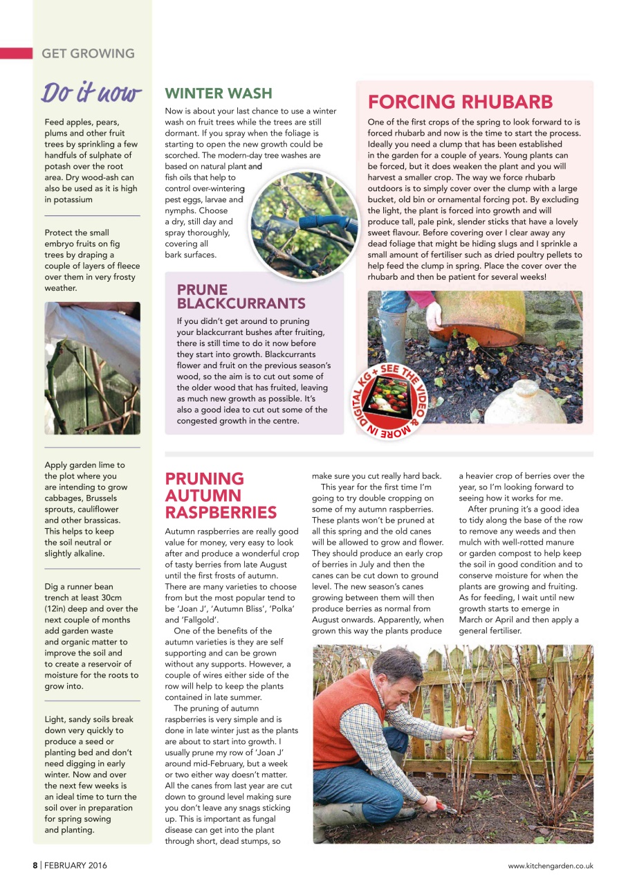 Kitchen Garden Magazine Preview Pages