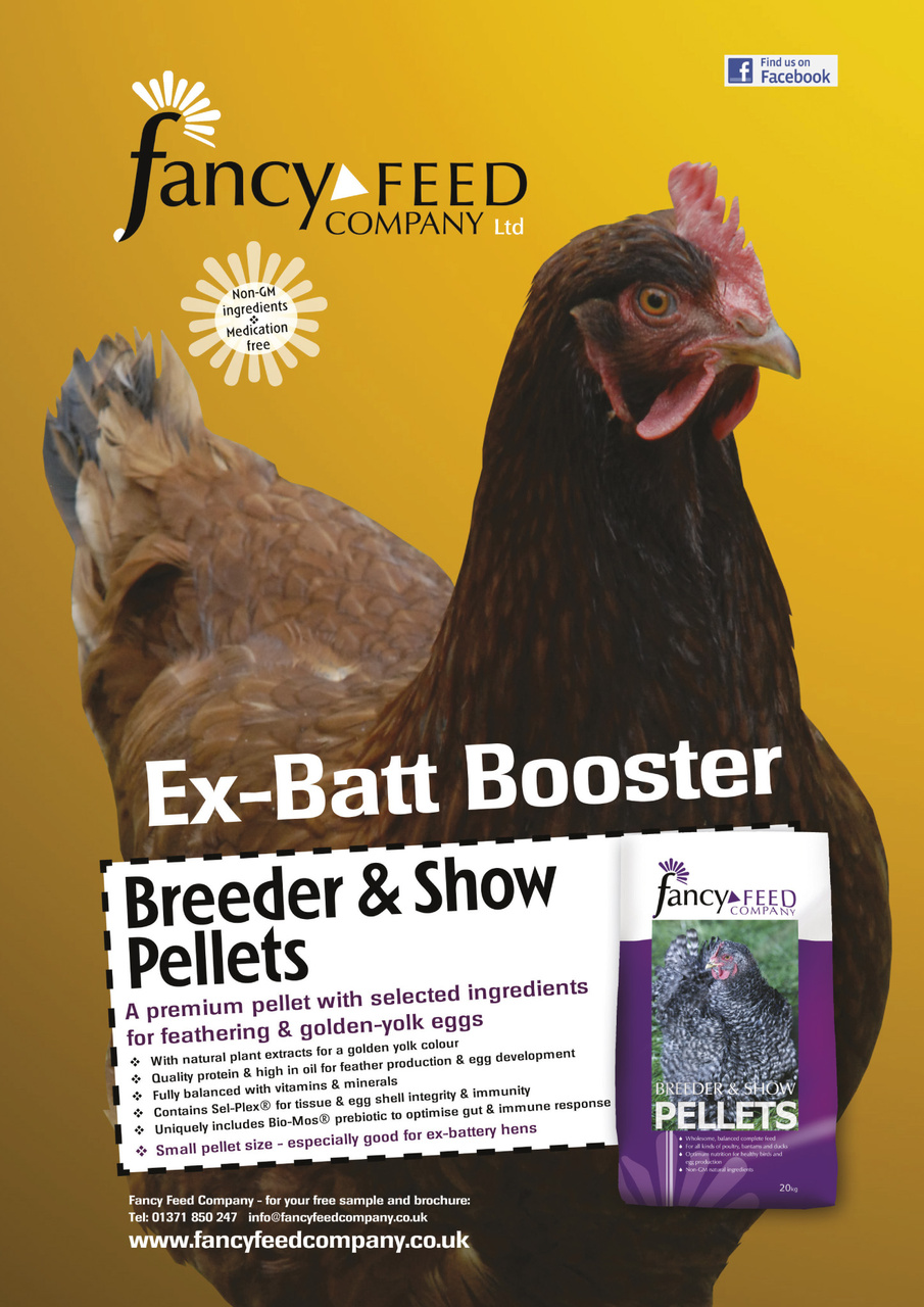 Practical Poultry Preview Pages