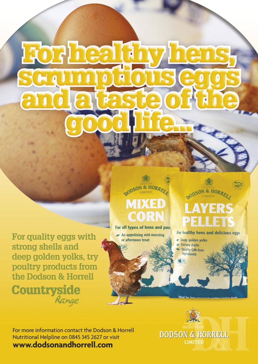 Practical Poultry Preview Pages