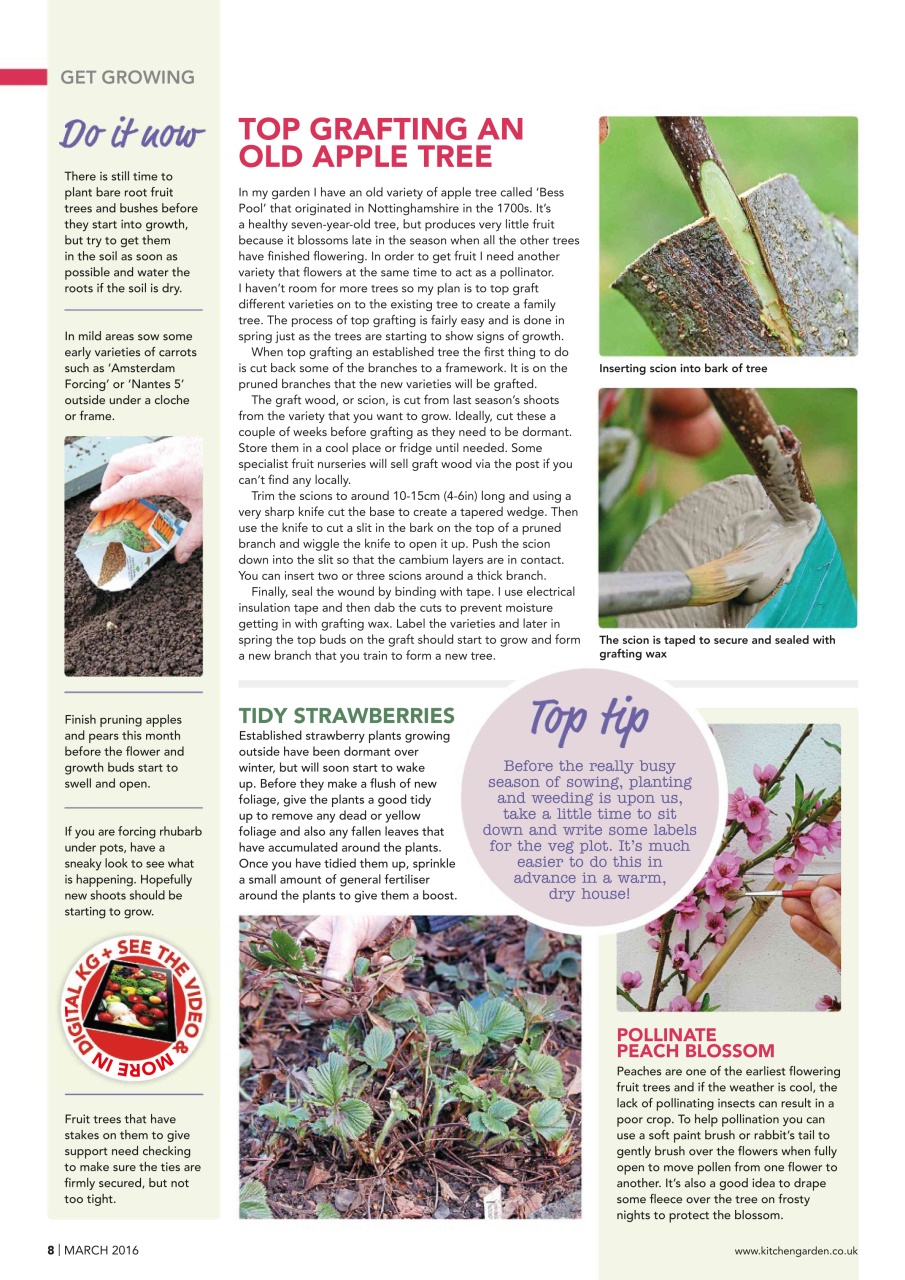 Kitchen Garden Magazine Preview Pages