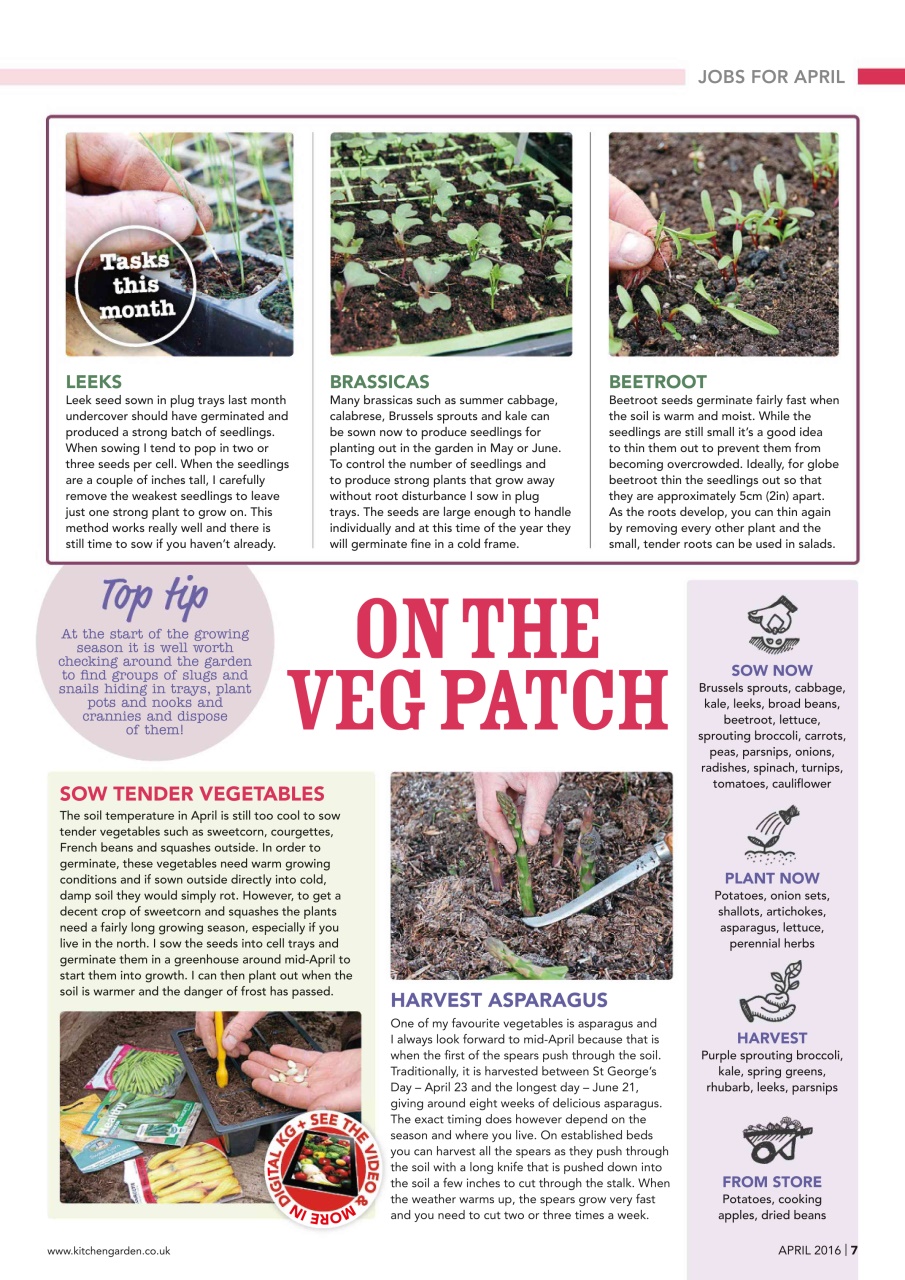 Kitchen Garden Magazine Preview Pages