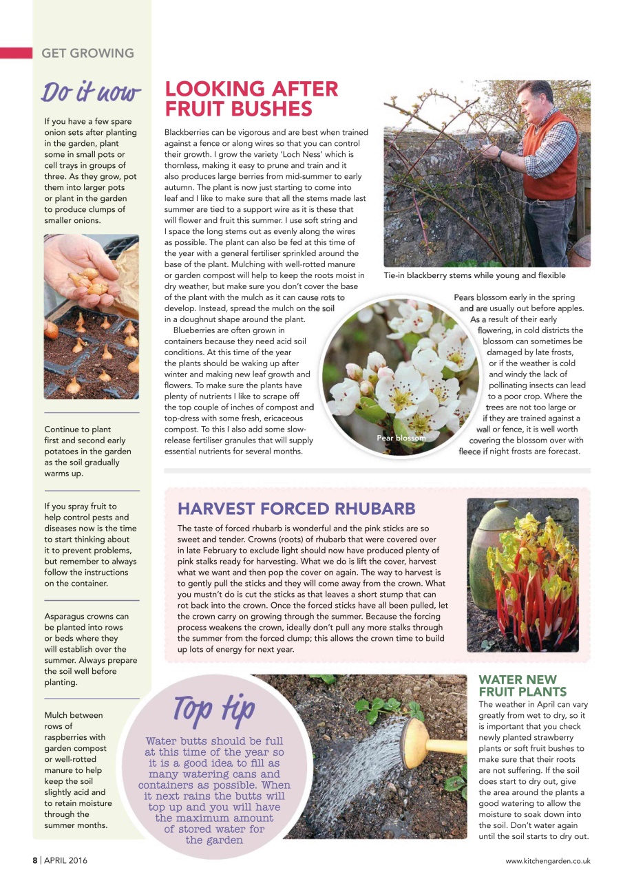 Kitchen Garden Magazine Preview Pages