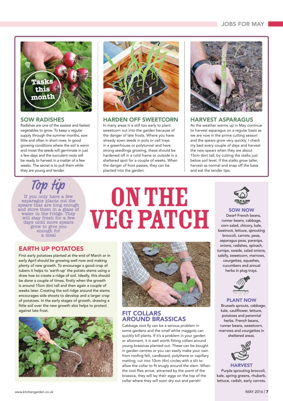 Kitchen Garden Magazine Preview Pages