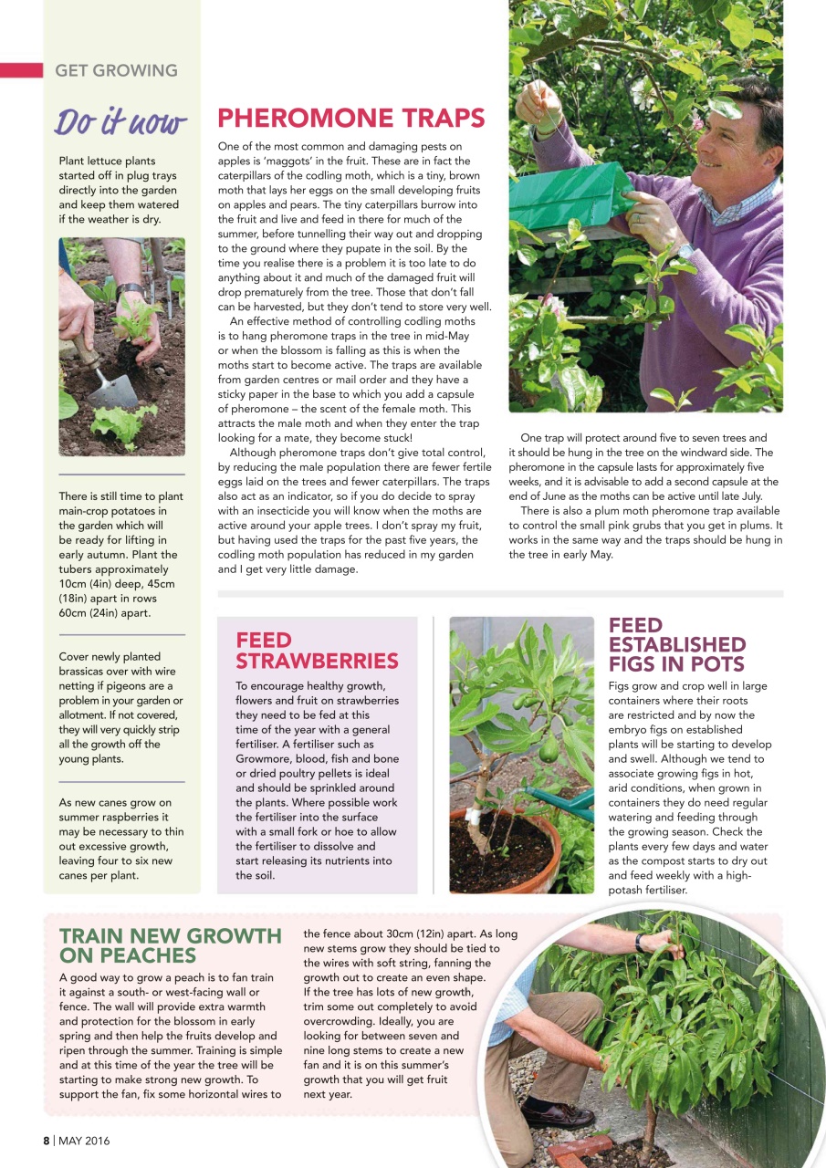 Kitchen Garden Magazine Preview Pages