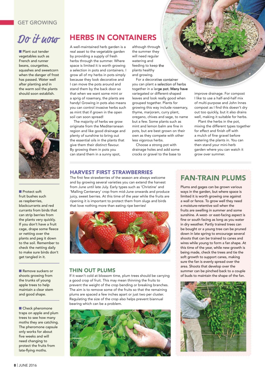 Kitchen Garden Magazine Preview Pages