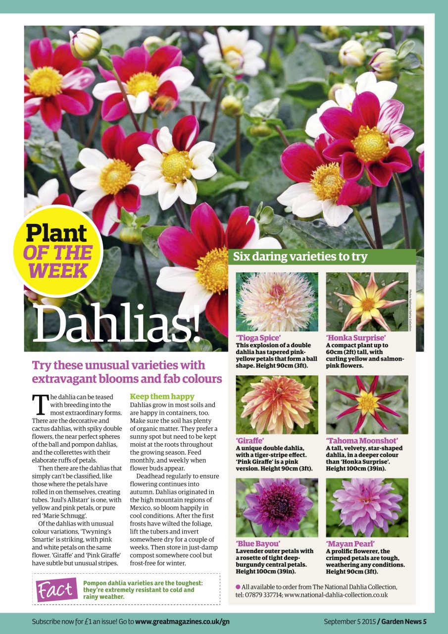 Garden News Preview Pages