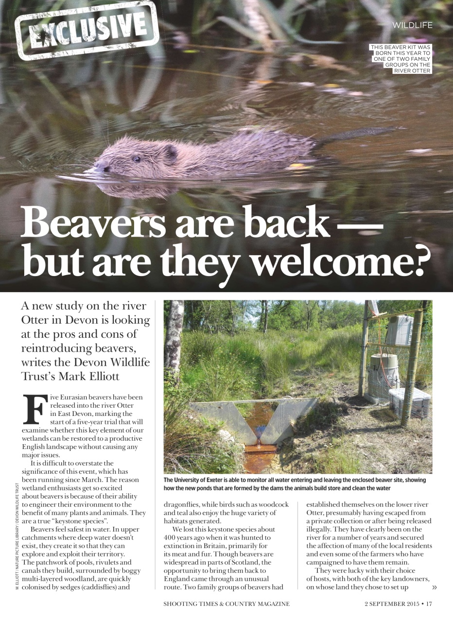 Shooting Times & Country Preview Pages