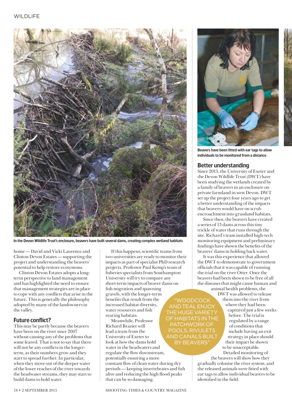 Shooting Times & Country Preview Pages