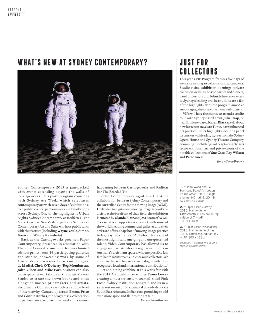 Art Collector Preview Pages