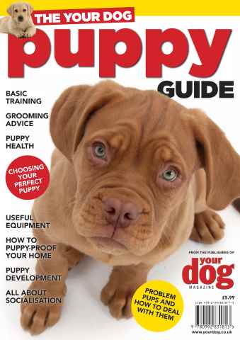 Your Dog issue The Your Dog Puppy Guide