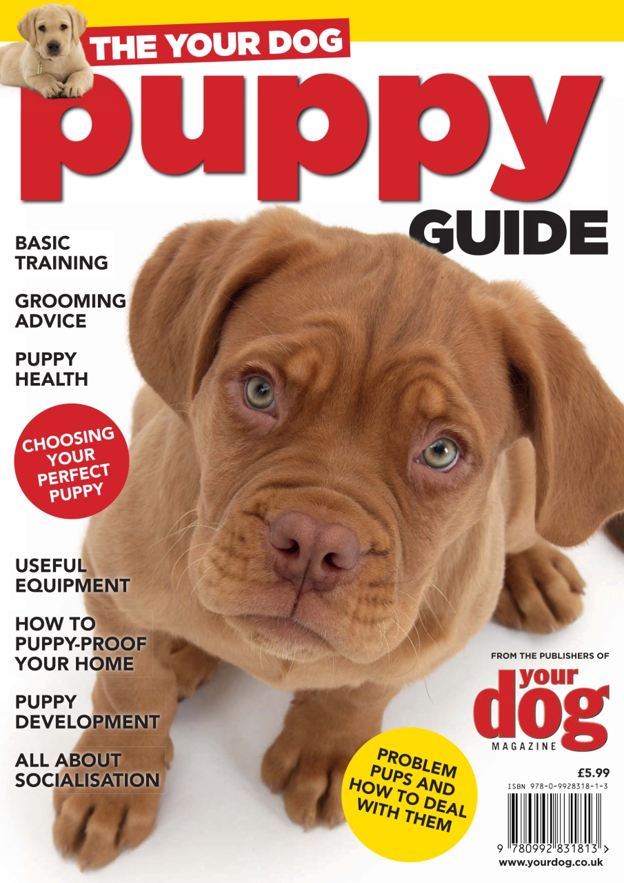 Your Dog Preview Pages