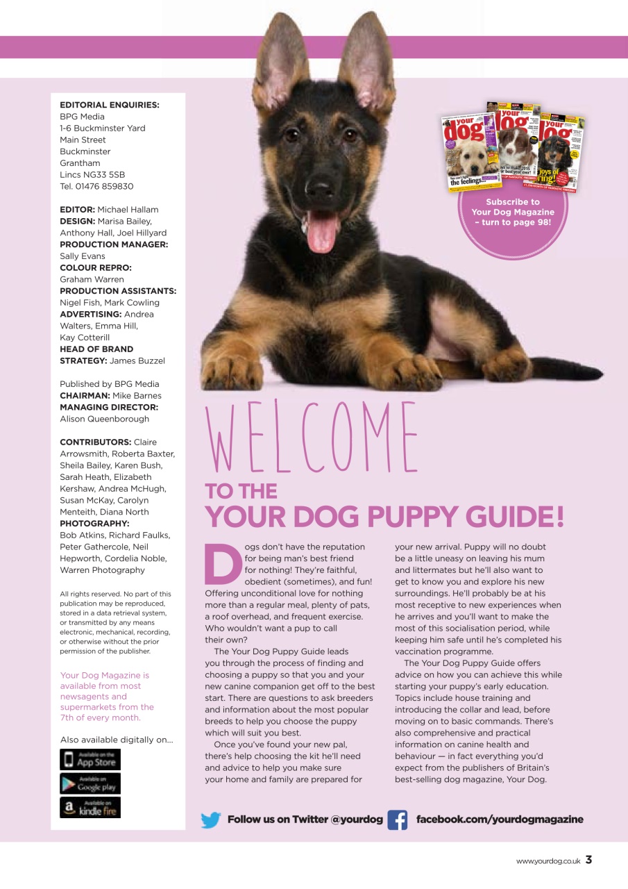 Your Dog Preview Pages