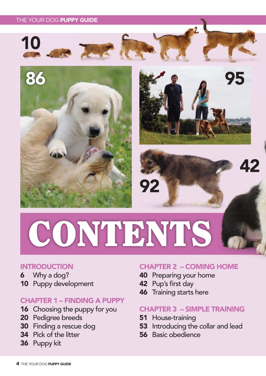 Your Dog Preview Pages
